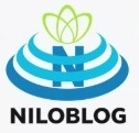 مهندس داود ولی